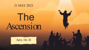 text banner The- Ascension